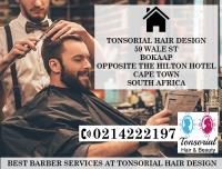Tonsorial Hair Design image 2